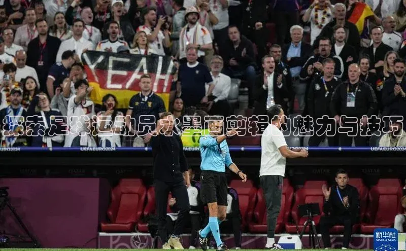 极悦官方网站app下载观星盘探索足球运动员水墨画剪辑的魅力与技巧