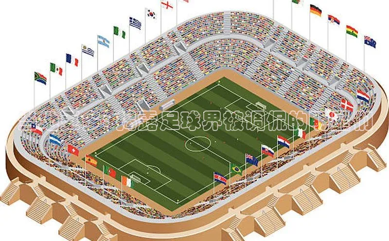 极悦平台官网登录轻美电器当地更多: 揭露足球界被调侃的明星们