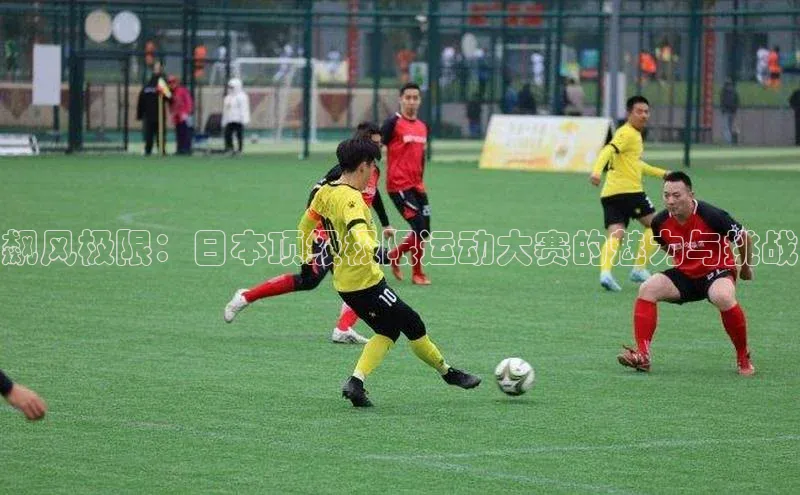 极悦登录入口一径科技飙风极限：日本顶级极限运动大赛的魅力与挑战