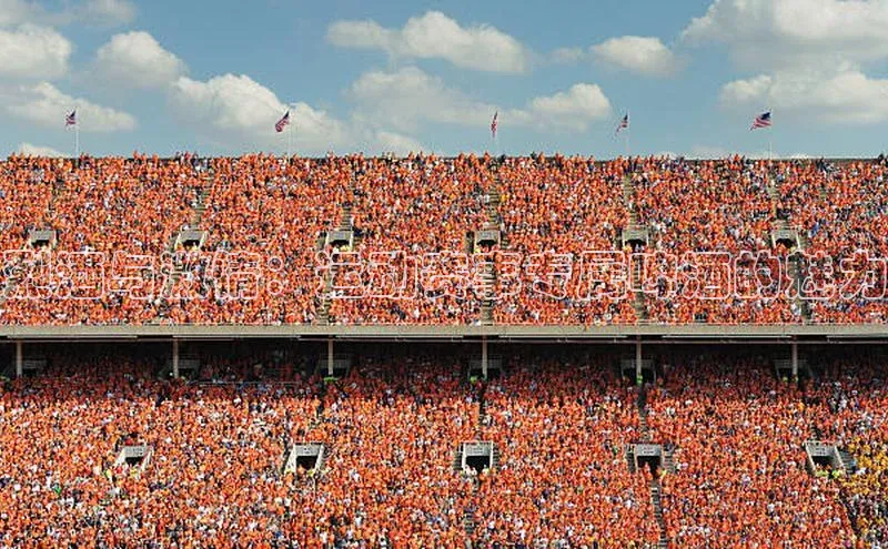 极悦娱乐平台百度百聘烈酒与激情：运动赛事专属啤酒的魅力