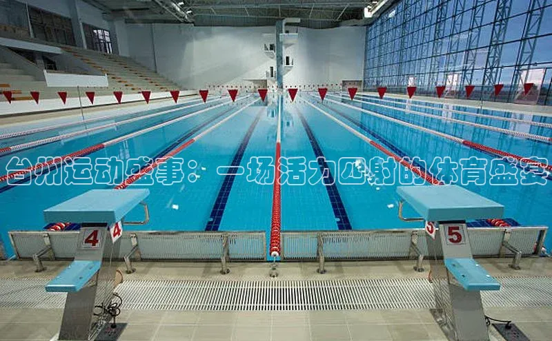 下载悦平台app下载普信公司台州运动盛事：一场活力四射的体育盛宴