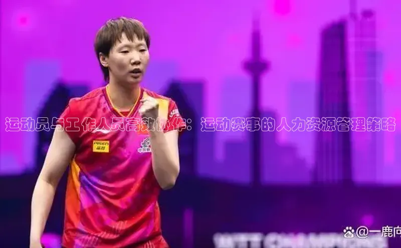 运动员与工作人员高效协作：运动赛事的人力资源管理策略