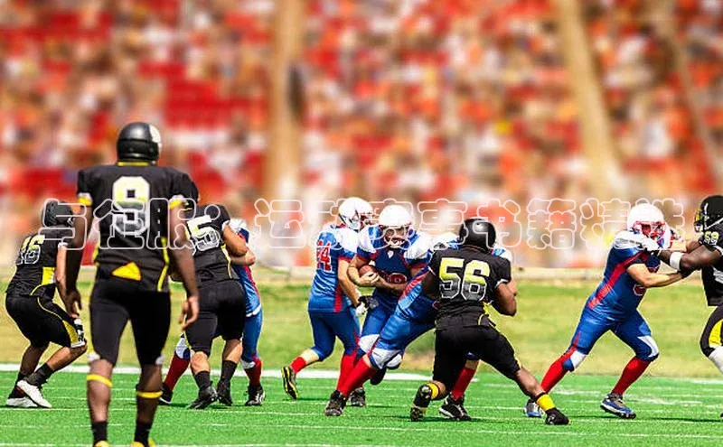 与征服：运动赛事书籍精选