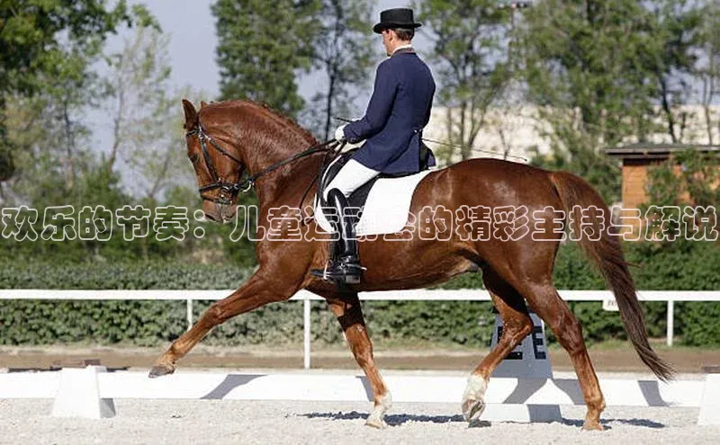 欢乐的节奏：儿童运动会的精彩主持与解说