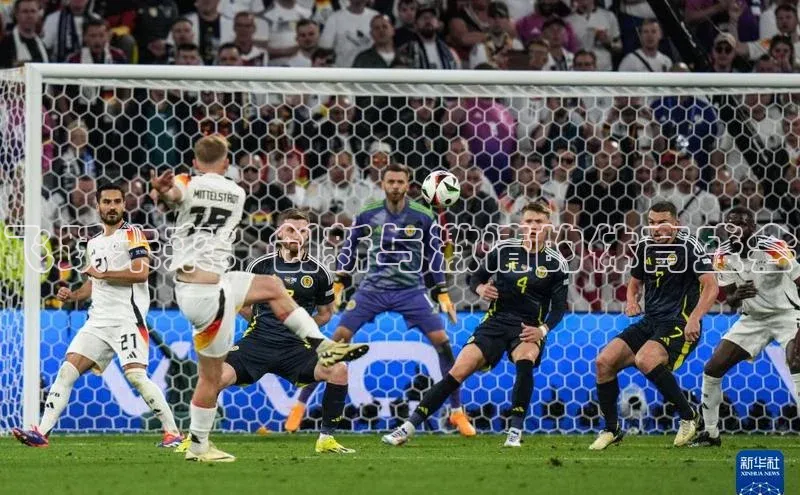 飞跃未来：创新与激情的体育盛会