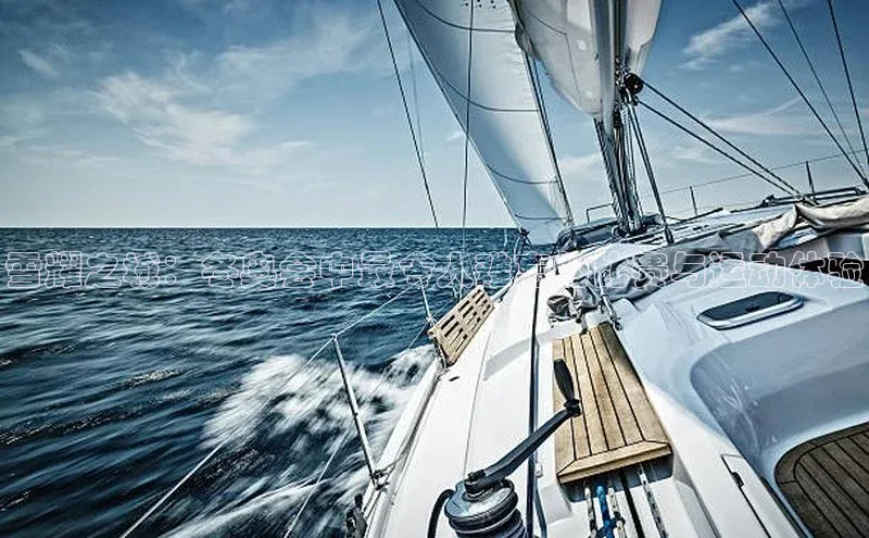 雪耀之城：冬奥会中最令人难忘的比赛与运动体验