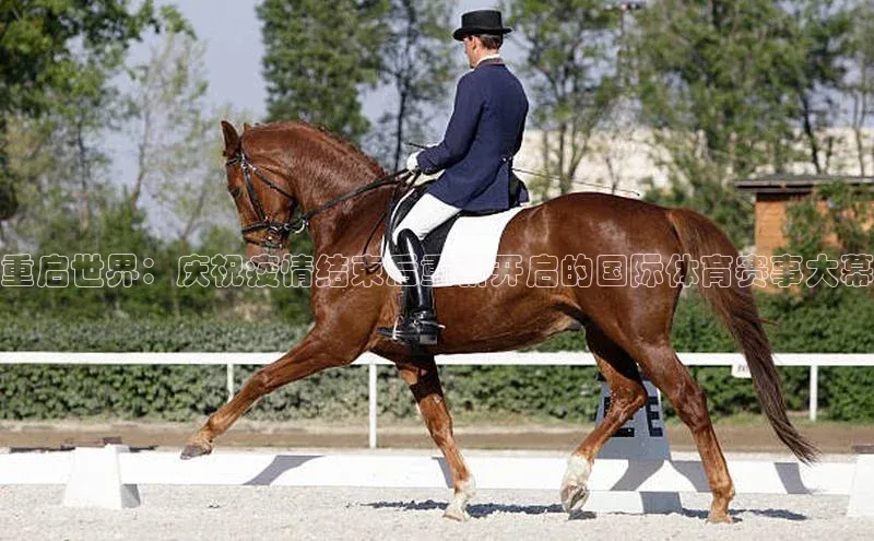 重启世界：庆祝疫情结束后重新开启的国际体育赛事大幕