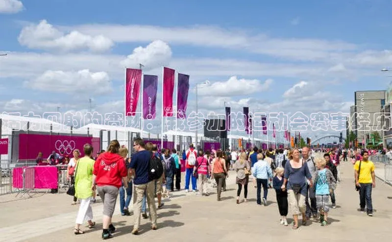 活力四射的赛场：我参加的运动会赛事经历