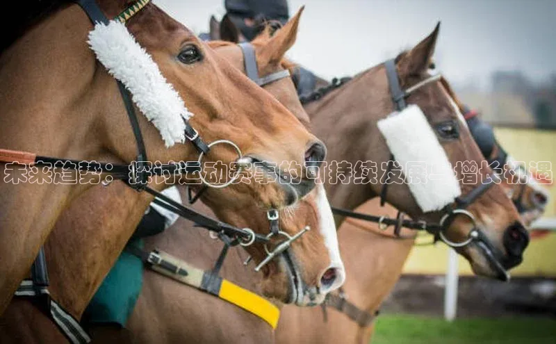未来趋势：探讨运动赛事的可持续发展与增长机遇