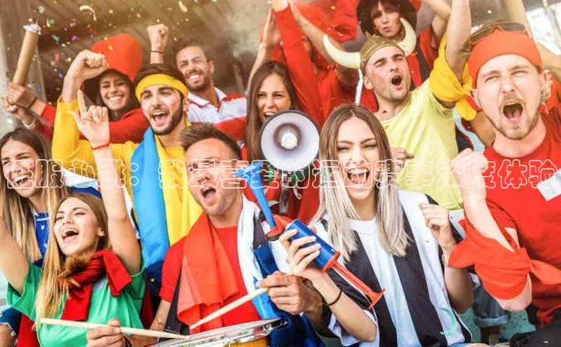 征服心跳：我最喜爱的运动赛事深度体验