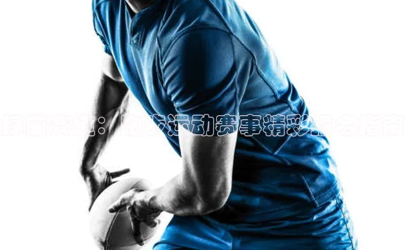 绿茵赛道：跑步运动赛事精彩报名指南