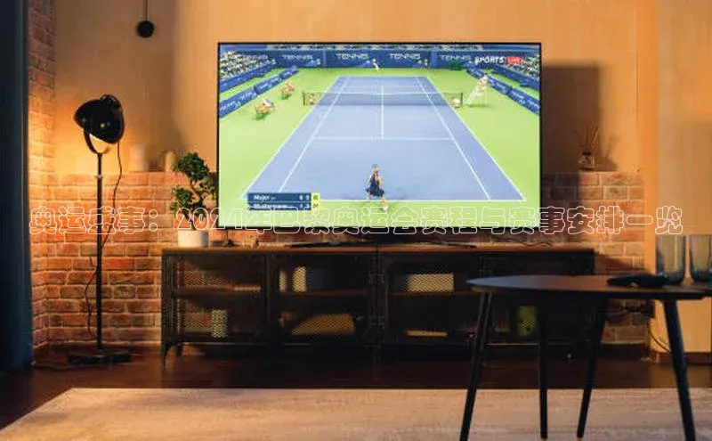 奥运盛事：2024年巴黎奥运会赛程与赛事安排一览