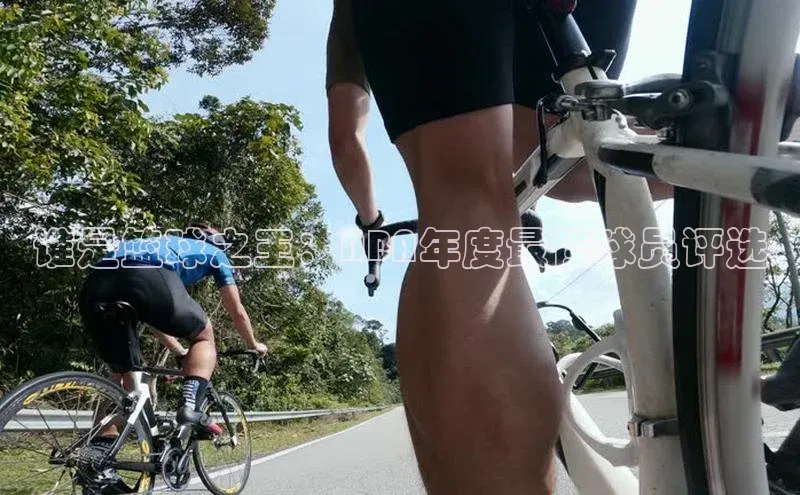 谁是篮球之王：NBA年度最佳球员评选