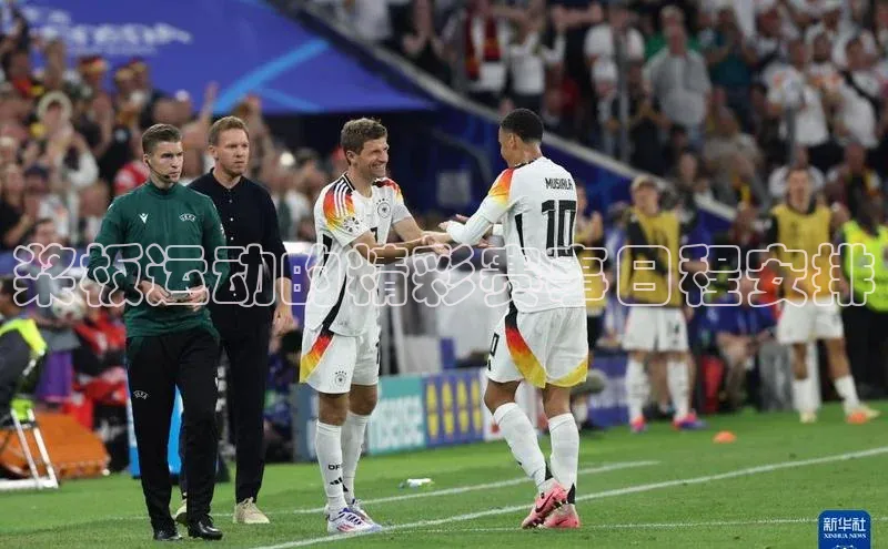 桨板运动的精彩赛事日程安排