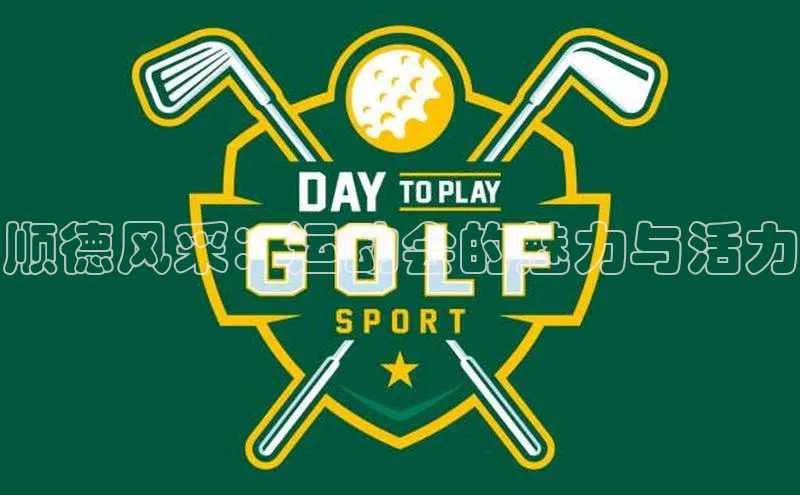 顺德风采：运动会的魅力与活力